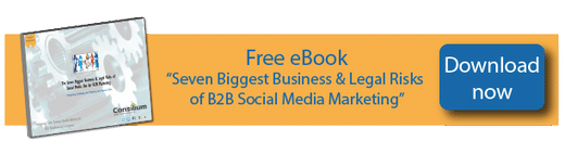 free eBook download business and legal risks of B2B social media marketing