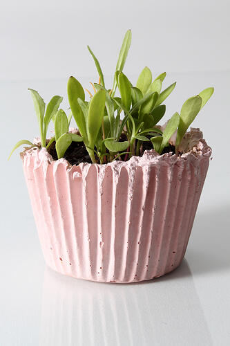 cupcake planter, portable gardening, millennials, garden trends, trends that matter to millennials, garden media group, pink, planter