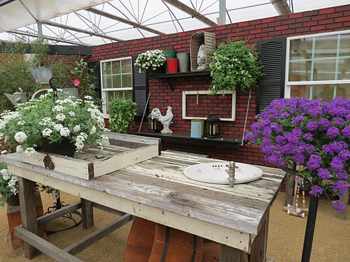 Suntory, Flowers, Garden Space, Table, Grow