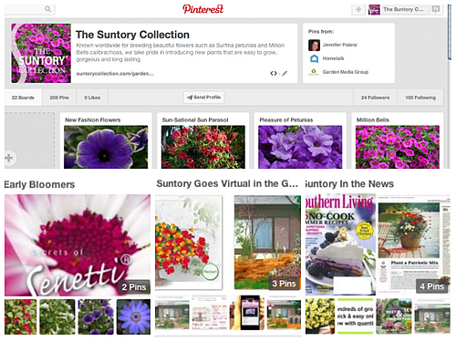 Pinterest, Suntory Flowers Pinterest, Flower Pins