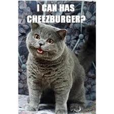 memes for the garden industry lol cats cheezburger cat
