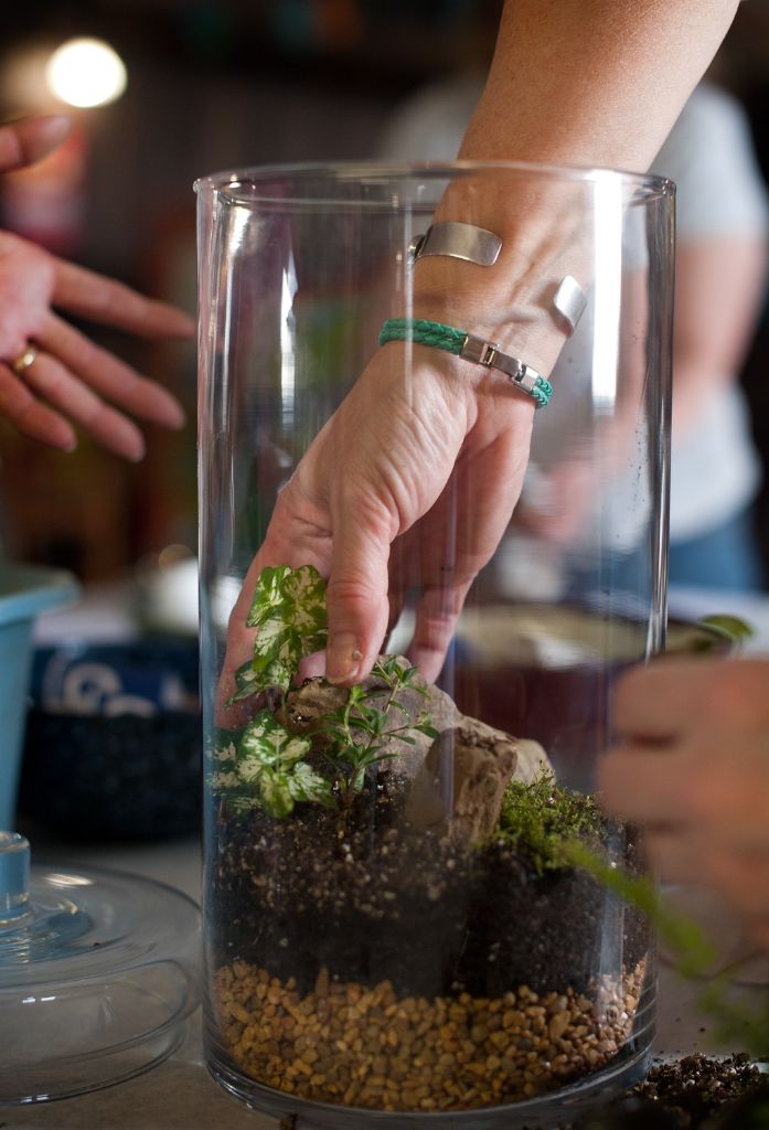 Terrarium Workshop credit Joshua Bright