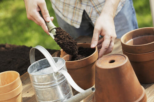 potting soil, gardening at home, garden media group, increase productivity at the office, garden business