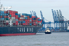 Ocean Freight Shipping