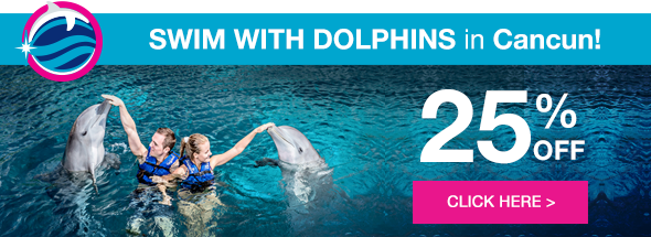 Swim with dolphins in Cancún