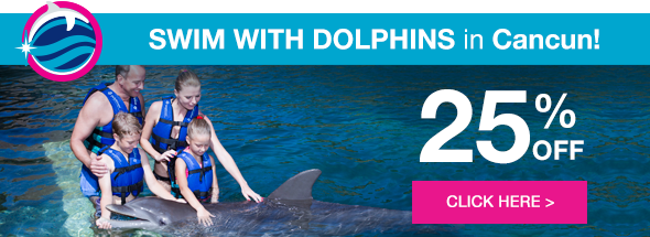 Swim with dolphins in Cancún