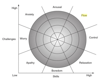 Flow Theory