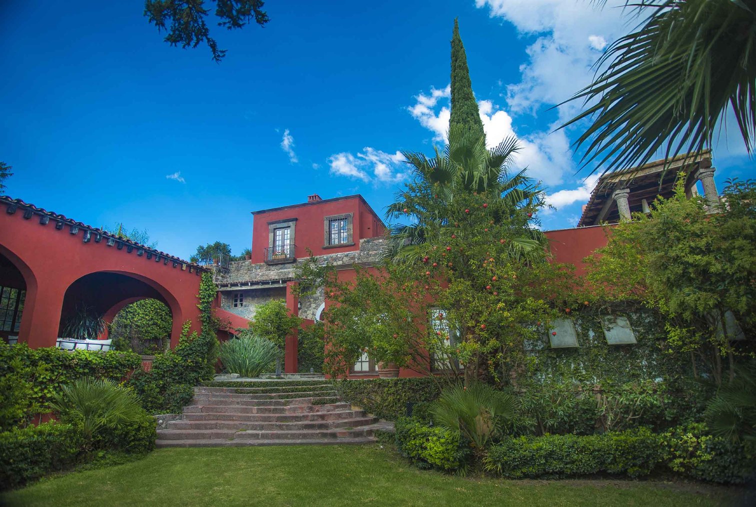 A lush greenhouse is a special botanical haven for plant lovers in this San Miguel setting. A lush greenhouse is a special botanical haven for plant lovers in this San Miguel setting.