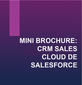 Mini_brochure_CRM_Sales_Cloud_de_Salesforce1.png