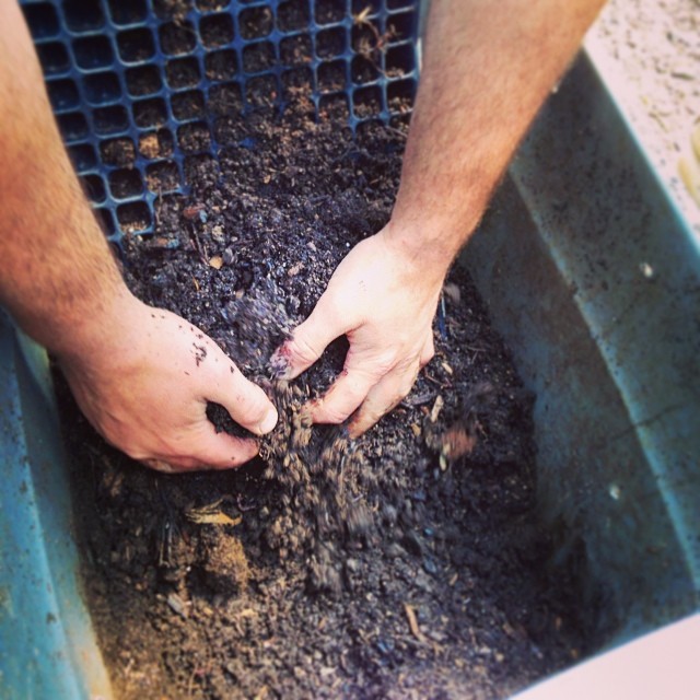 Aquaponics Resource Guide