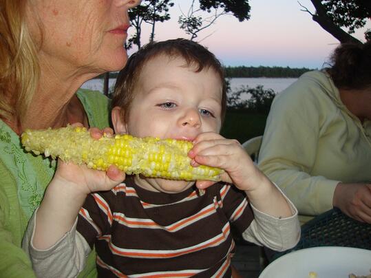 Toddler eating corn on the cob