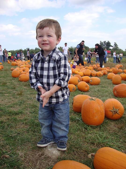 toddler, pumpkin patch