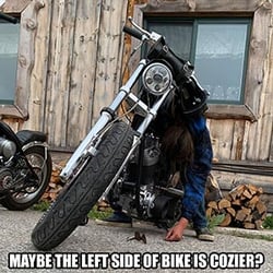 maybe-the-left-side-of-bike-is-cozier