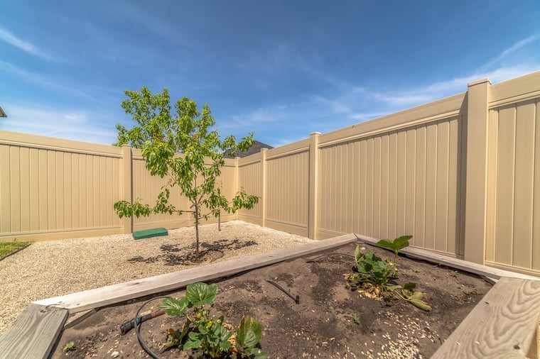 Plant These Trees If You Have a Small Backyard Plant These Trees If You Have a Small Backyard