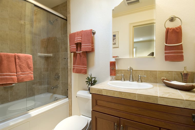 Follow This Guide to Choose Between a Shower Door or Curtain