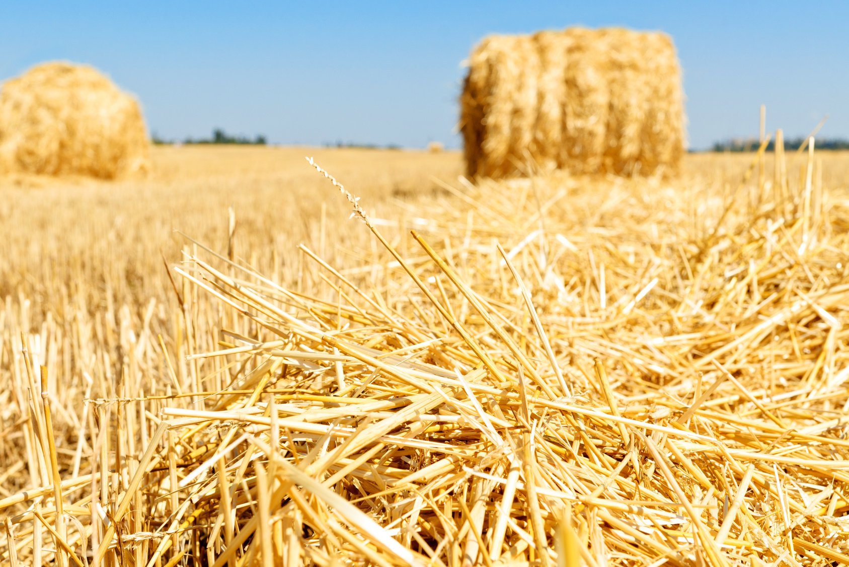 How To Control Moisture Content In Hay Bales