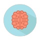 Icon_Brain
