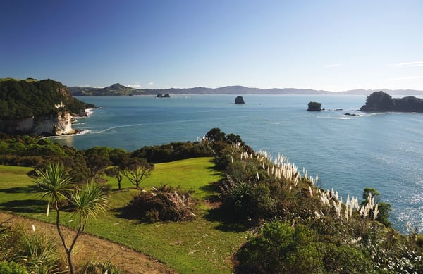 Coromandel Magic