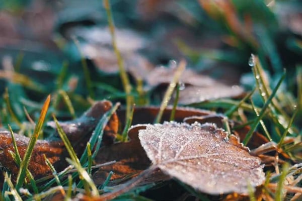 New Zealand Winter Motorhome Road Trip Video