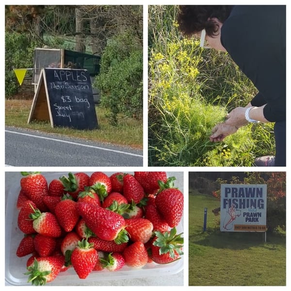 New Zealand Foodie Tour | A Five Day Motorhome Itinerary