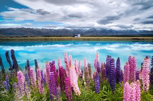 Environmentally Friendly Campervan Travel