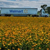 Walmart - SALT April 2020