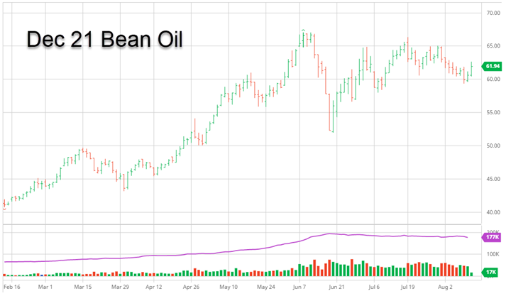 Dec_Bean_Oil_Aug_11_2021_smaller