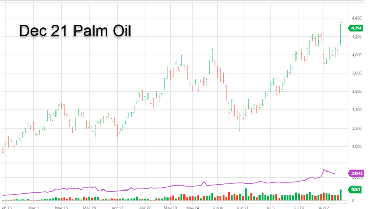 Dec_Palm_Oil_Aug_11_2021_smaller-1