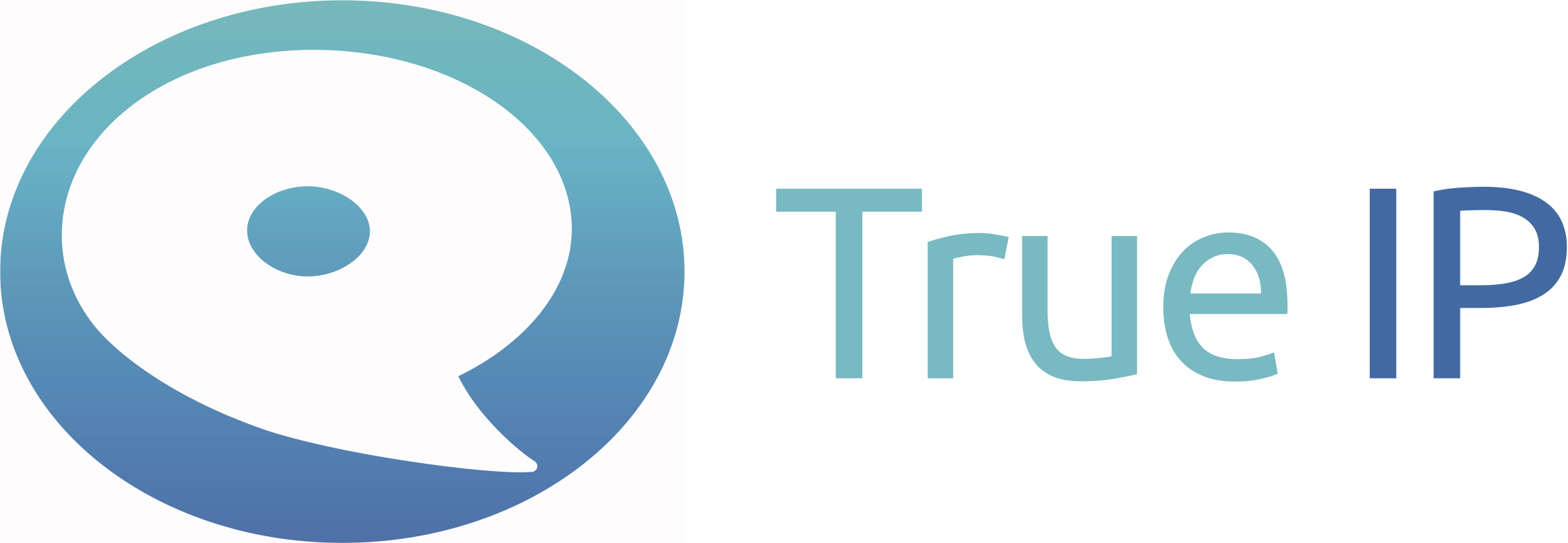 _true ip-logo