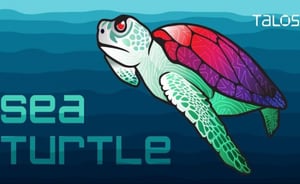 Sea Turtle-1