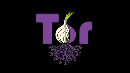 Tor-4