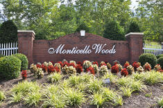 homes for sale in monticello woods