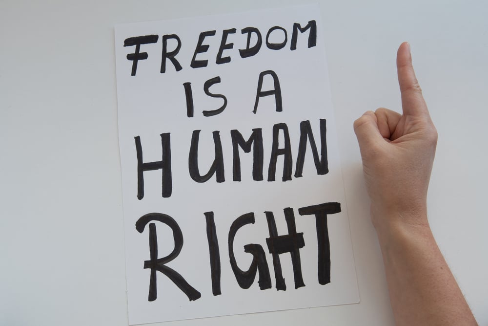 How-Low-Will-they-Go-Freedom_Blog-1