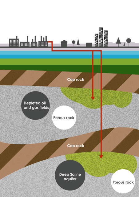 carbon capture shaw renewables biomass installers Spending watchdog to examine scrapping of £1bn CCS plan