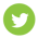 Twitter-Icon-Twitter