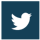 card-twitter-icon