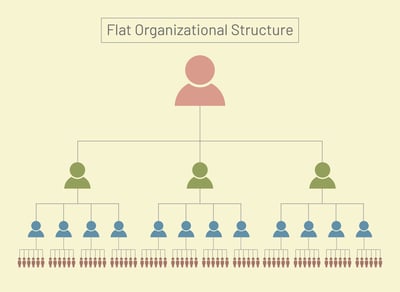 Flat Organizational Hierarchy