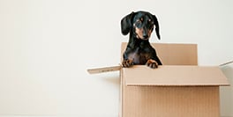 How often do we actually move house?