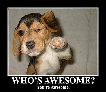 Make your Welcome Email something to Smile About | THAT Agency Make your Welcome Email something to Smile About | THAT Agency
