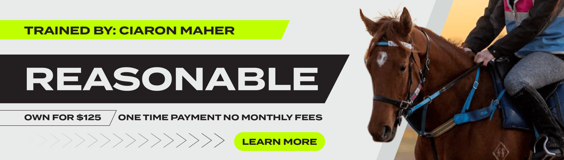 20235917_B1_3_700x200pxB_001@4x-1