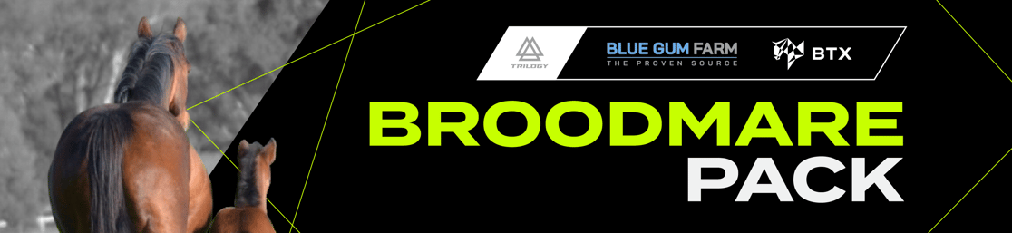 20236633_SG_650x150pxB_002