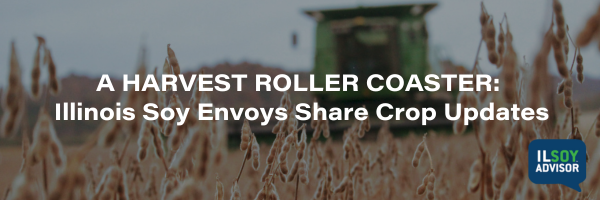 A Harvest Roller Coaster Illinois Soy Envoys Share Crop Updates