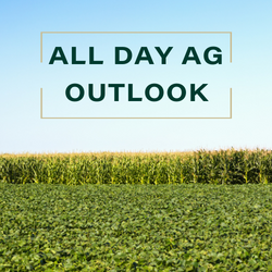 ALL DAY AG OUTLOOK FF