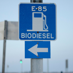 Biodiesel