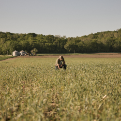 Conservation Research