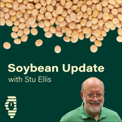 Copy of Copy of Soybean Update (1)