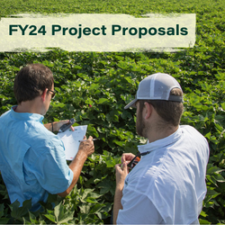 FY24 Project Proposals