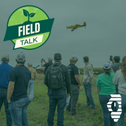 Field Talk FF (1)