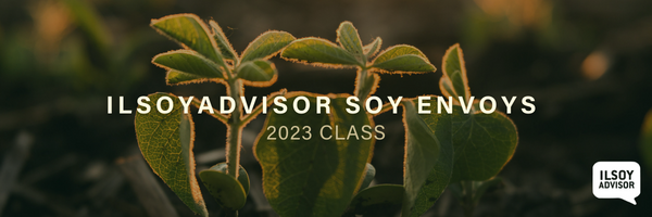 ILSOYADVISOR SOY ENVOYS FF