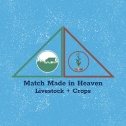 Livestock and Crops FF